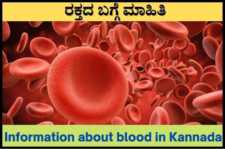 essay on blood in kannada